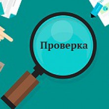 К кому придут с проверкой в 2020 году?